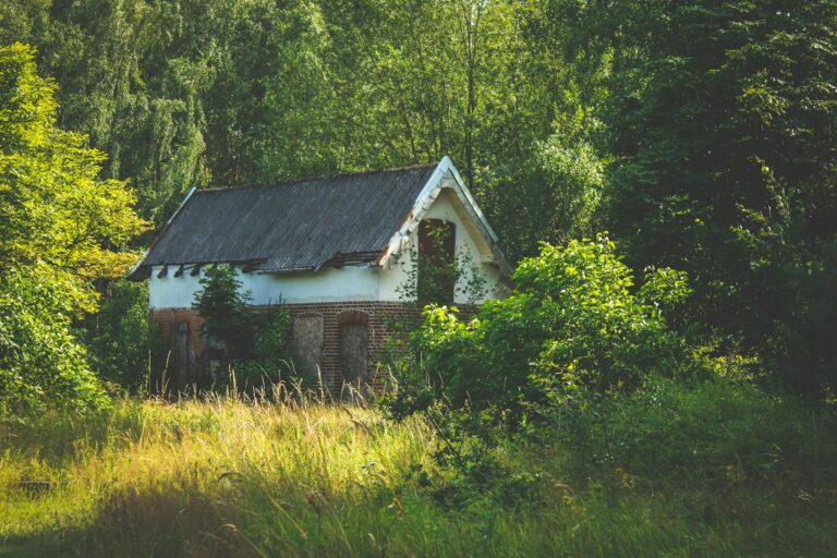 House surrounded with trees